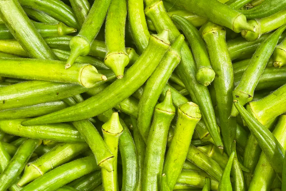 Fresh okra pods