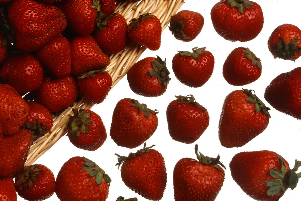 Fresh strawberries on a white background