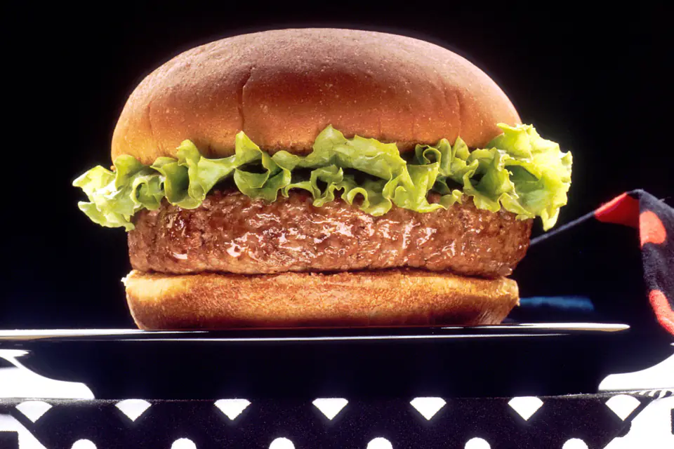 A plain hamburger with lettuce