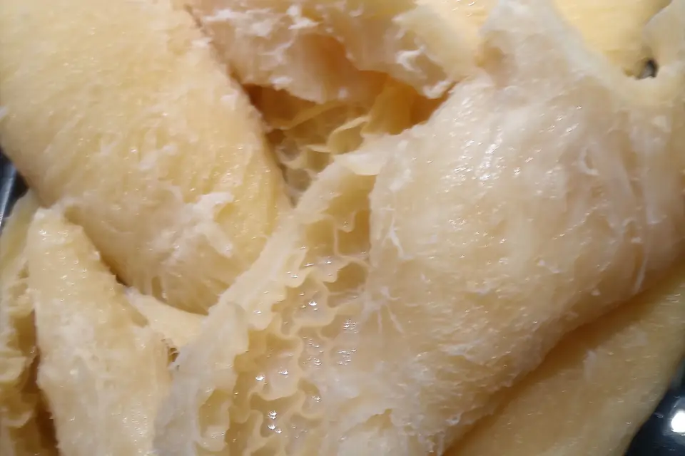 Close-up of raw honeycomb tripe