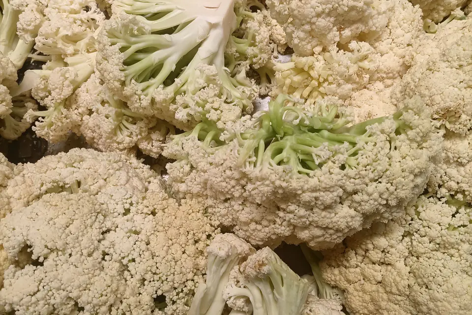 Close-up of raw cauliflower florets