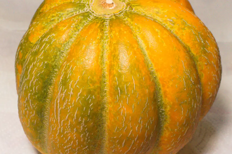 Close-up of a whole melon