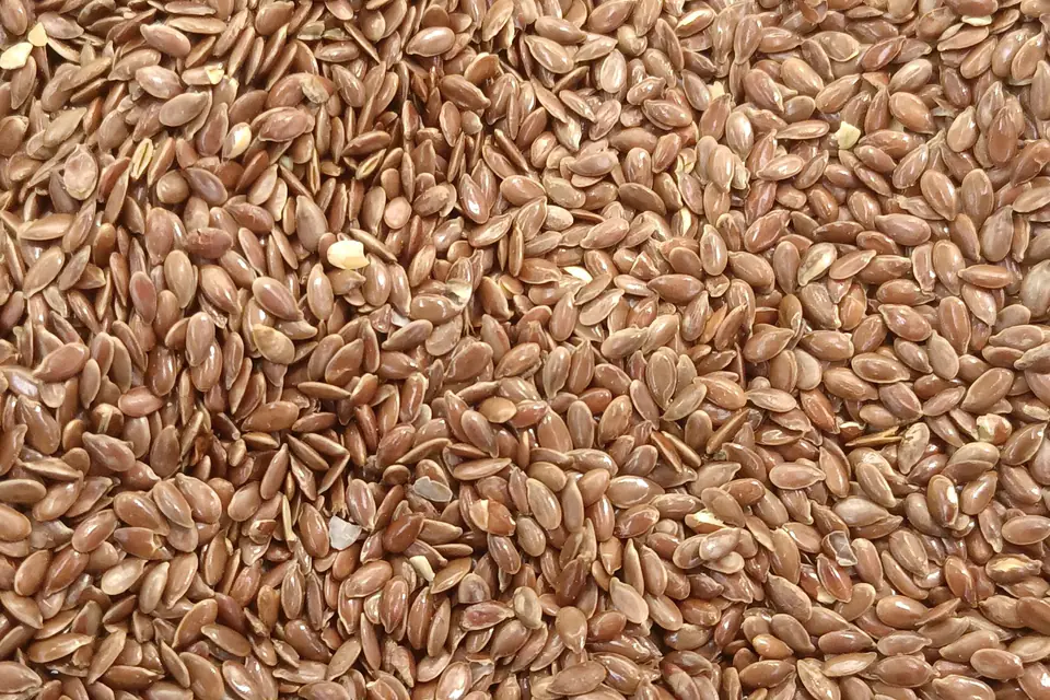Close-up of brown flaxseeds