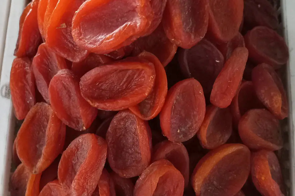 Close-up of orange dried apricots