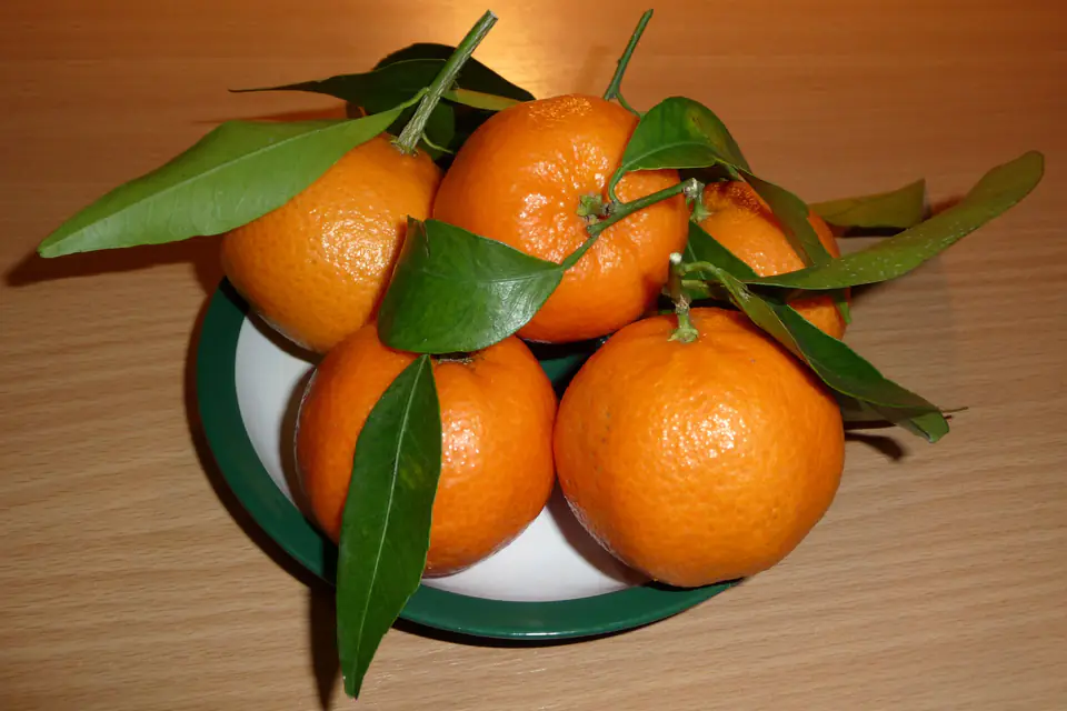 Fresh tangerines with leaves on a plate