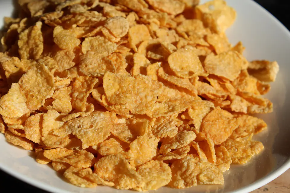 Plain corn flakes in a bowl