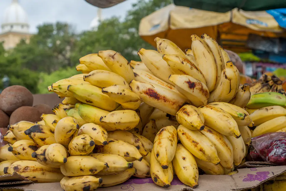 Bunches of bananas on a market stall