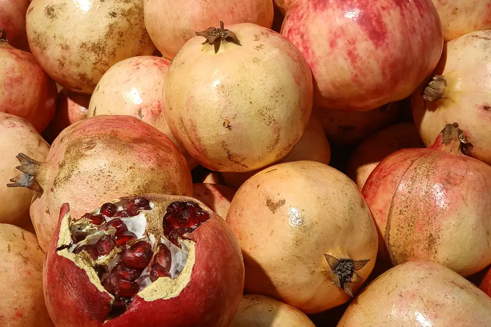 Large pomegranates, one broken open