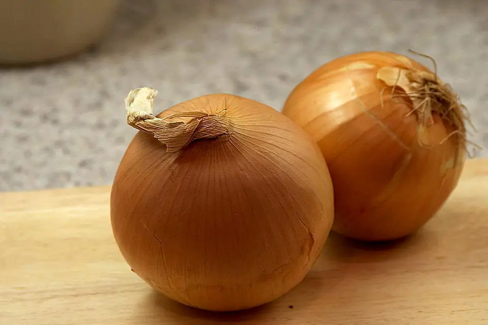 Two dry onions on a wooden table