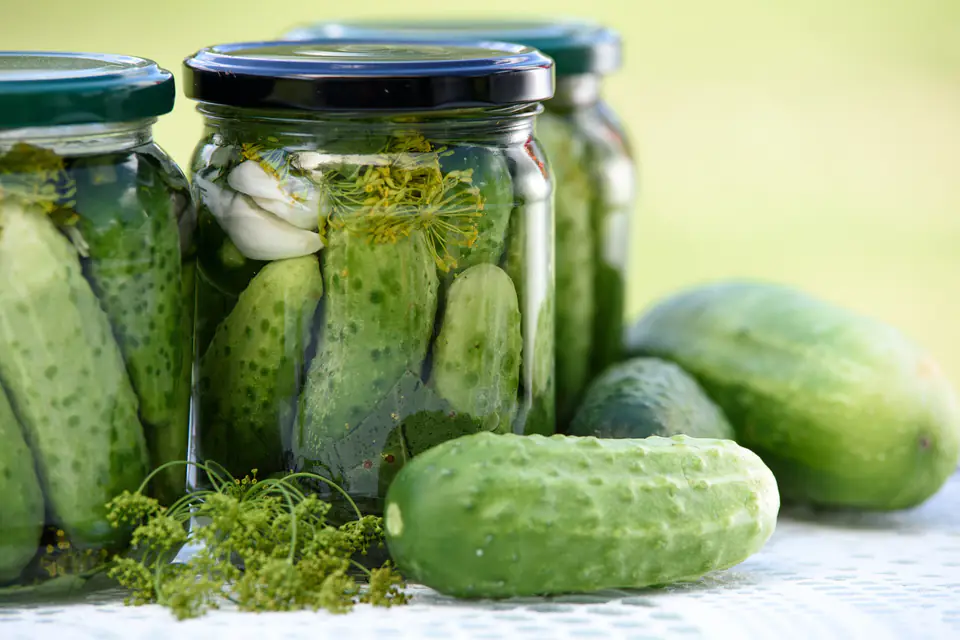 Pickled cucumbers in jars next to fresh cucumbers