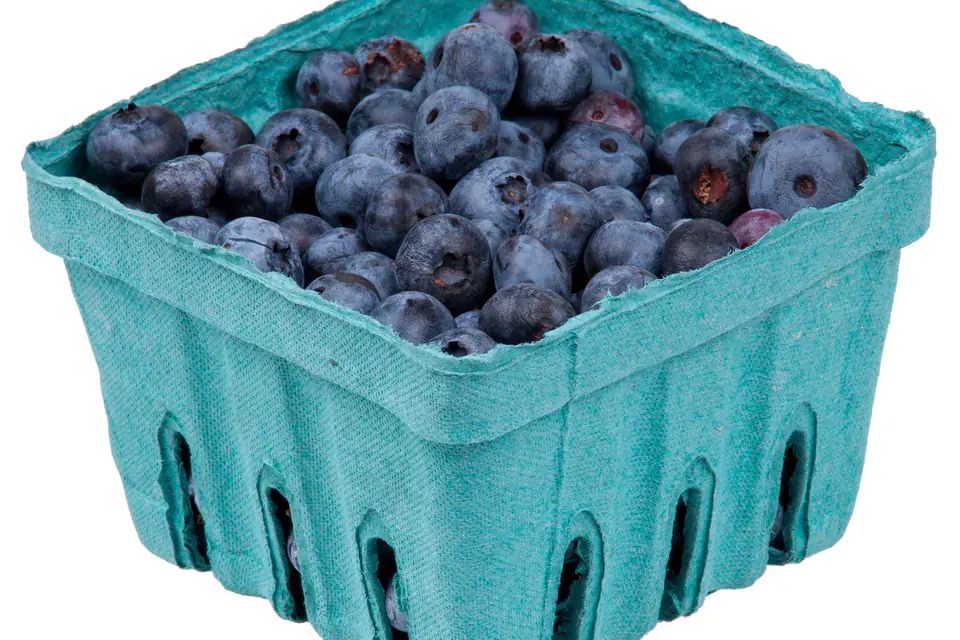 Fresh blueberries in a cardboard basket