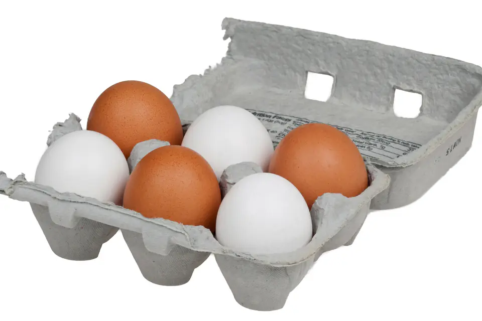 Six brown and white eggs in a carton